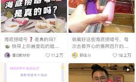 赚钱项目全解析,探索多元化收益途径 赚钱项目全解析,探索多元化收益途径