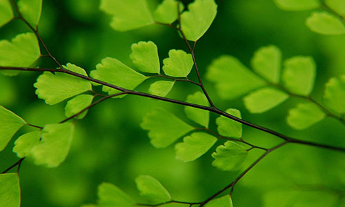 淘宝电商扶贫,开启精准扶贫新篇章 淘宝电商扶贫,开启精准扶贫新篇章